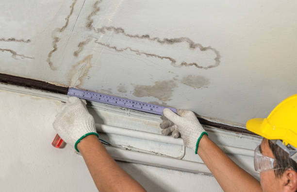 Reliable Mold Remediation contractor in Arlington, TX by Water Damage Irwin